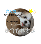 かんたダヨ❕（個別スタンプ：5）