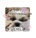 かんたダヨ❕（個別スタンプ：6）