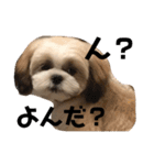 かんたダヨ❕（個別スタンプ：7）