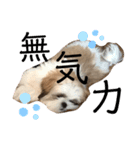 かんたダヨ❕（個別スタンプ：8）