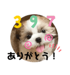 かんたダヨ❕（個別スタンプ：9）