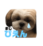 かんたダヨ❕（個別スタンプ：10）