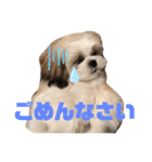 かんたダヨ❕（個別スタンプ：11）