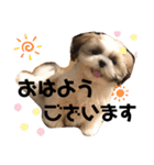かんたダヨ❕（個別スタンプ：12）