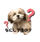 かんたダヨ❕（個別スタンプ：14）