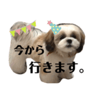 かんたダヨ❕（個別スタンプ：15）