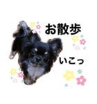 アルたんすたんぷ。（個別スタンプ：2）