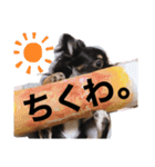 アルたんすたんぷ。（個別スタンプ：6）