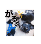 アルたんすたんぷ。（個別スタンプ：9）