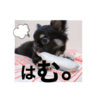 アルたんすたんぷ。（個別スタンプ：11）