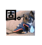 アルたんすたんぷ。（個別スタンプ：12）