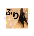 アルたんすたんぷ。（個別スタンプ：13）