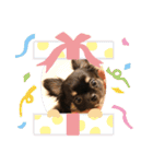 アルたんすたんぷ。（個別スタンプ：15）