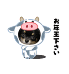 ウチのChai（個別スタンプ：14）