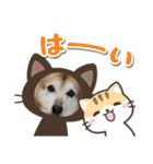 あきまろんが作ったスタンプ（個別スタンプ：4）
