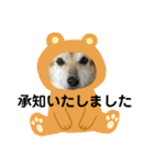 あきまろんが作ったスタンプ（個別スタンプ：5）