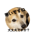 あきまろんが作ったスタンプ（個別スタンプ：7）