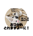 あきまろんが作ったスタンプ（個別スタンプ：9）