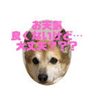 あきまろんが作ったスタンプ（個別スタンプ：10）