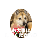 あきまろんが作ったスタンプ（個別スタンプ：17）