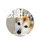 あきまろんが作ったスタンプ（個別スタンプ：18）