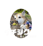 あきまろんが作ったスタンプ（個別スタンプ：19）