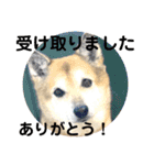 あきまろんが作ったスタンプ（個別スタンプ：28）