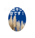 あきまろんが作ったスタンプ（個別スタンプ：38）