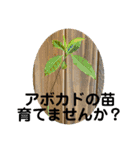 あきまろんが作ったスタンプ（個別スタンプ：39）