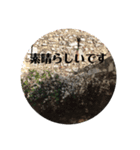 仏伊風景 使えるていねい言葉（個別スタンプ：3）