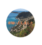 仏伊風景 使えるていねい言葉（個別スタンプ：4）