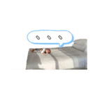羽碧（個別スタンプ：8）