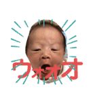 我が家の想翔さん（個別スタンプ：24）