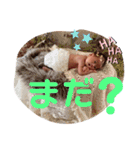 我が家の想翔さん（個別スタンプ：25）