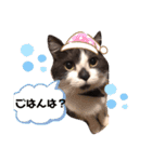くるみの気持ち（個別スタンプ：1）