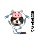 くるみの気持ち（個別スタンプ：14）