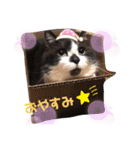 くるみの気持ち（個別スタンプ：17）