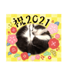 くるみの気持ち（個別スタンプ：23）
