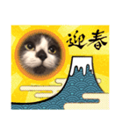 くるみの気持ち（個別スタンプ：24）