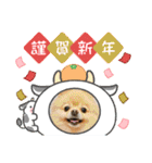 ポメラニアン☆レイン 2021（個別スタンプ：2）