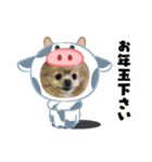 ポメラニアン☆レイン 2021（個別スタンプ：16）