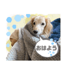 そらは18歳（個別スタンプ：1）