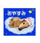 そらは18歳（個別スタンプ：2）