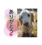 そらは18歳（個別スタンプ：3）