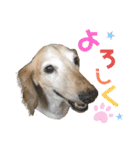 そらは18歳（個別スタンプ：4）