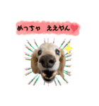 そらは18歳（個別スタンプ：5）