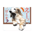 そらは18歳（個別スタンプ：6）