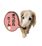 そらは18歳（個別スタンプ：7）