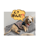 そらは18歳（個別スタンプ：8）