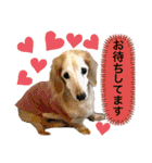 そらは18歳（個別スタンプ：9）
